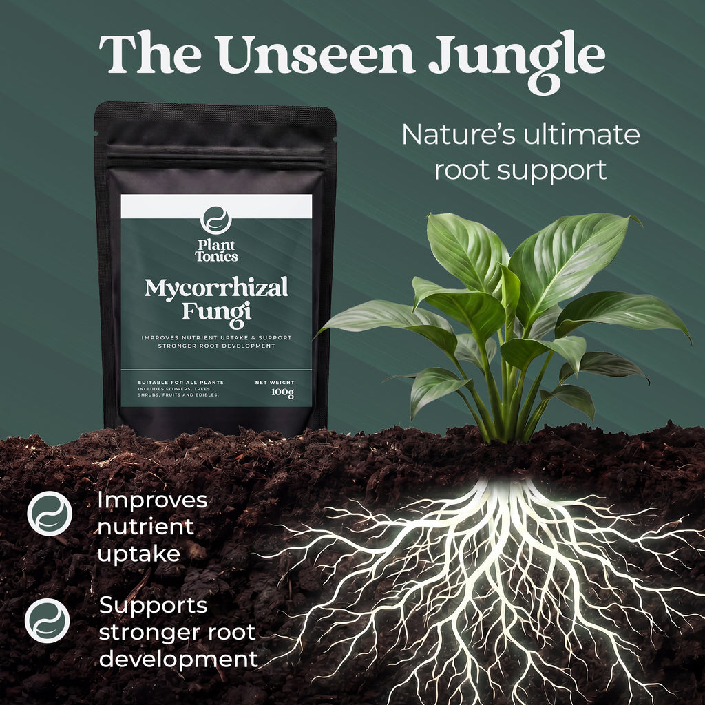 Mycorrhizal Fungi Natural Root Growth