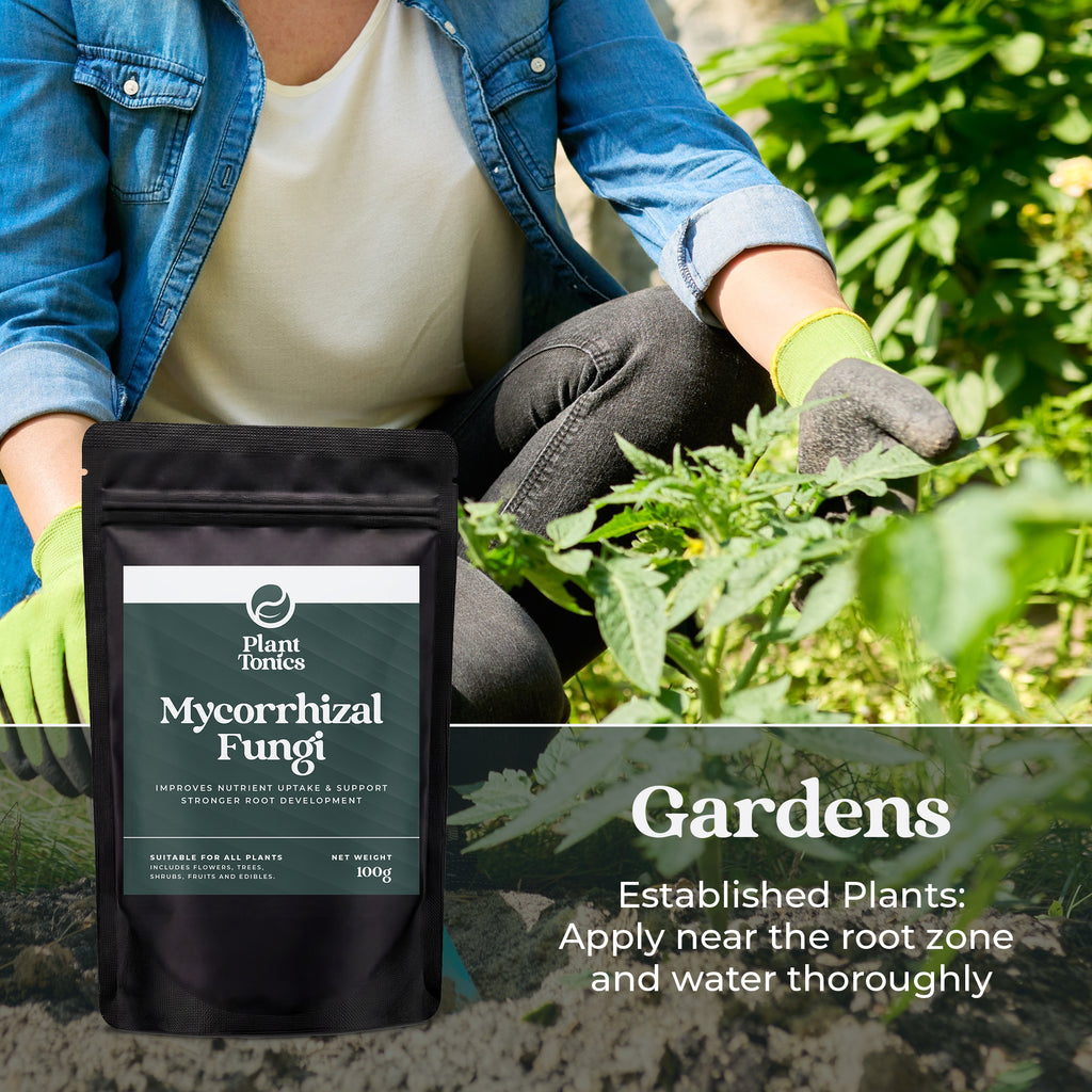 Mycorrhizal Fungi Natural Root Growth