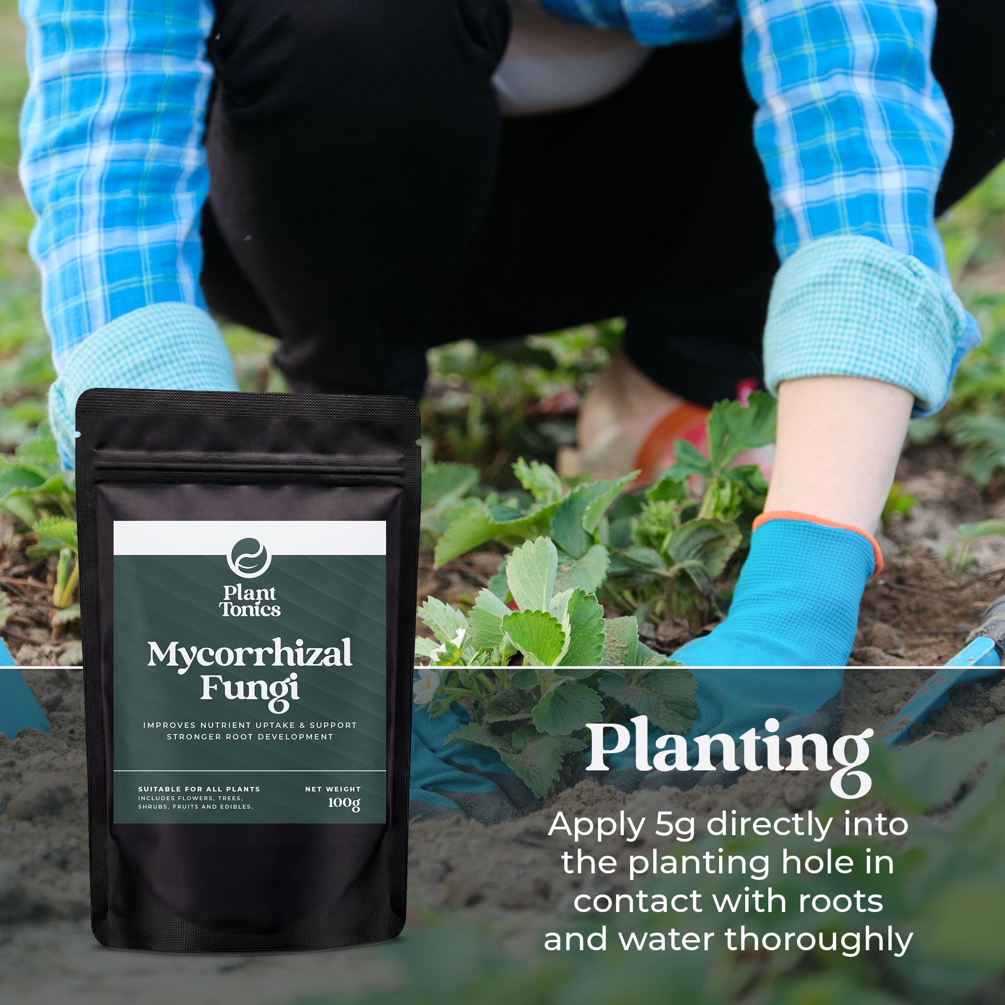 Mycorrhizal Fungi Natural Root Growth