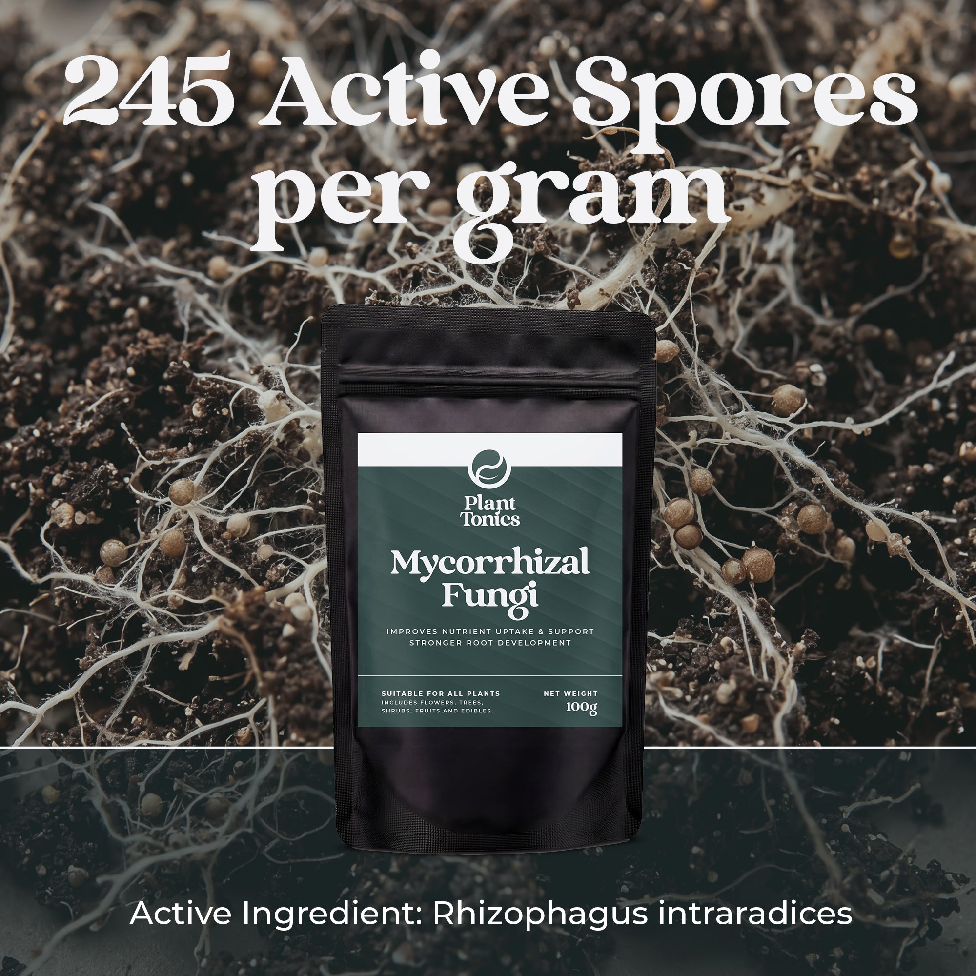 Mycorrhizal Fungi Natural Root Growth