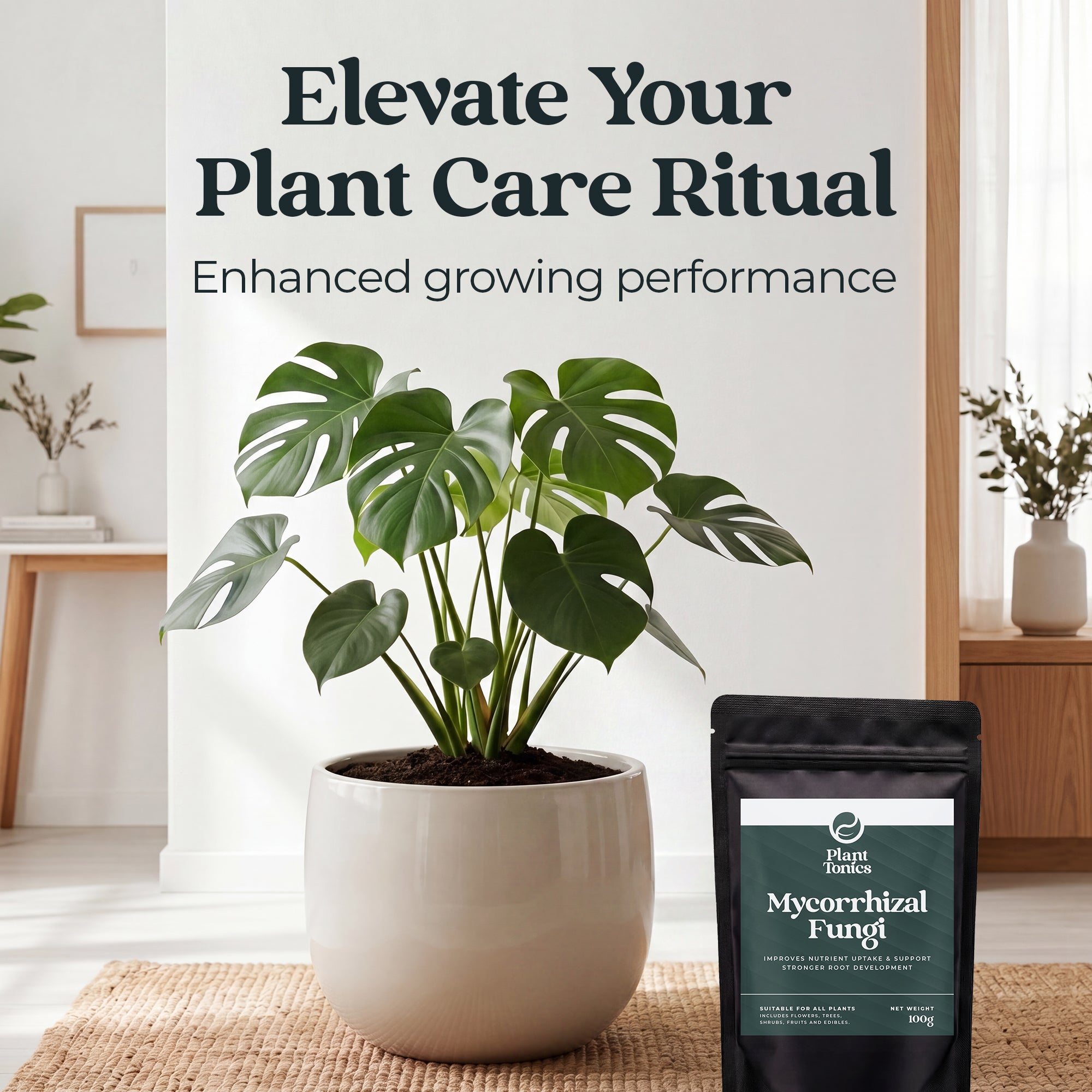 Mycorrhizal Fungi Natural Root Growth
