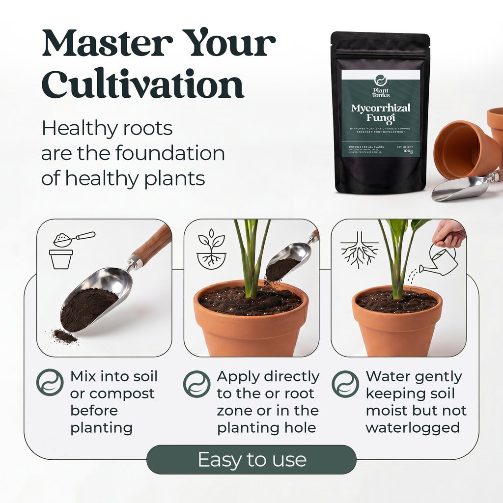 Mycorrhizal Fungi Natural Root Growth