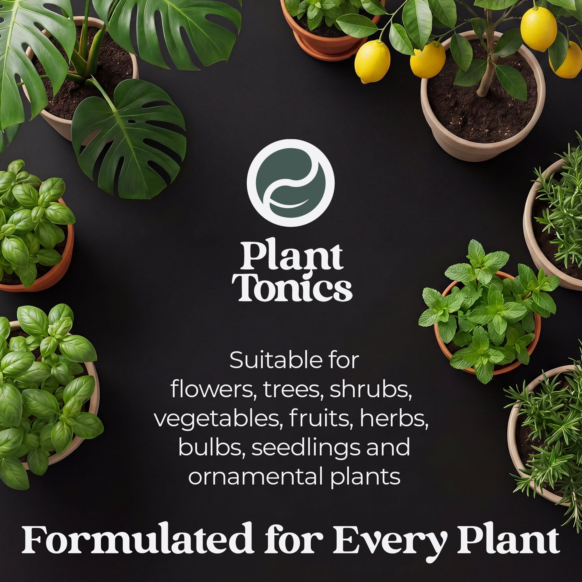Mycorrhizal Fungi Natural Root Growth