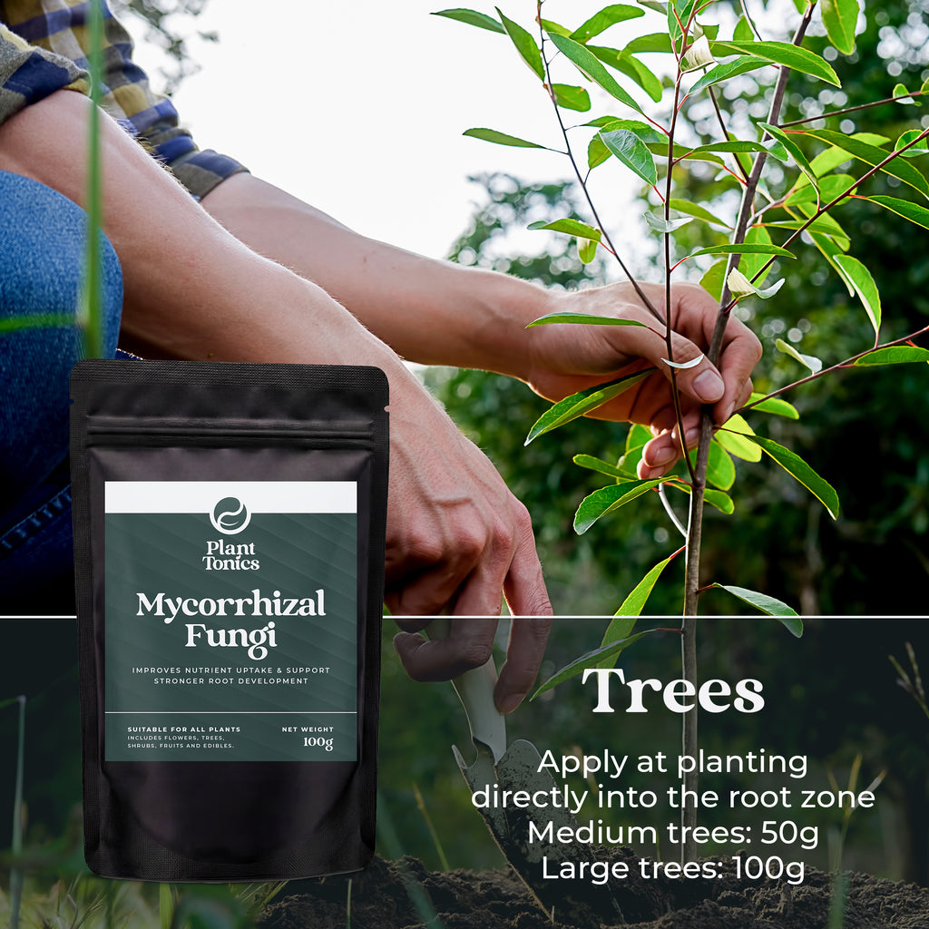 Mycorrhizal Fungi Natural Root Growth