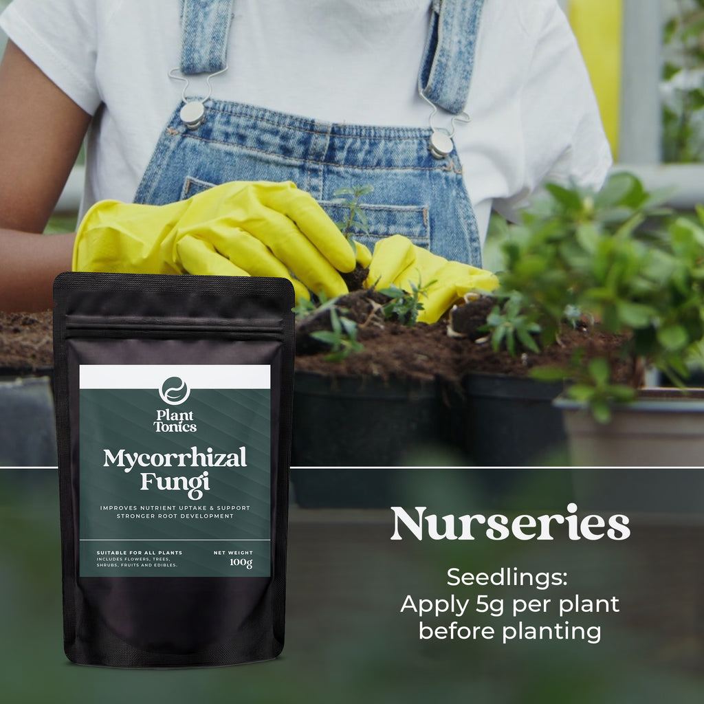Mycorrhizal Fungi Natural Root Growth