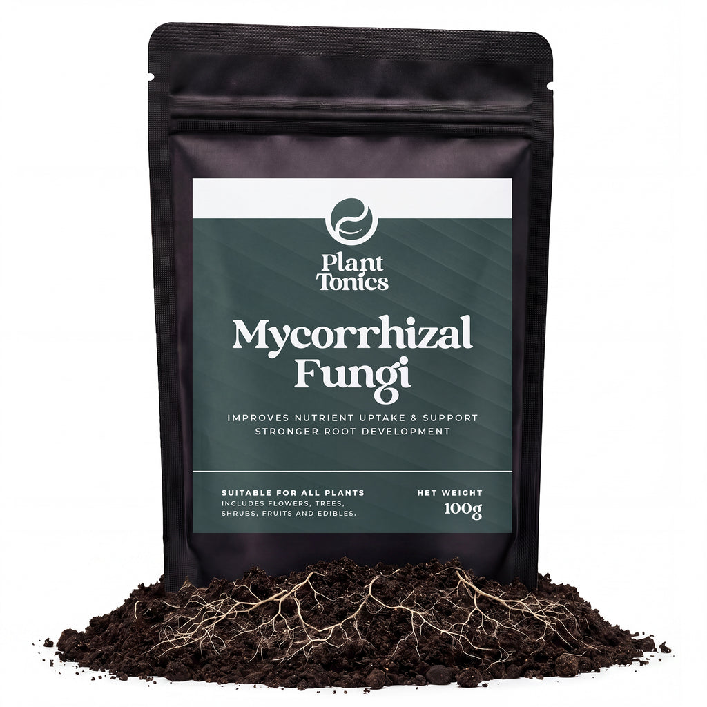Mycorrhizal Fungi Natural Root Growth