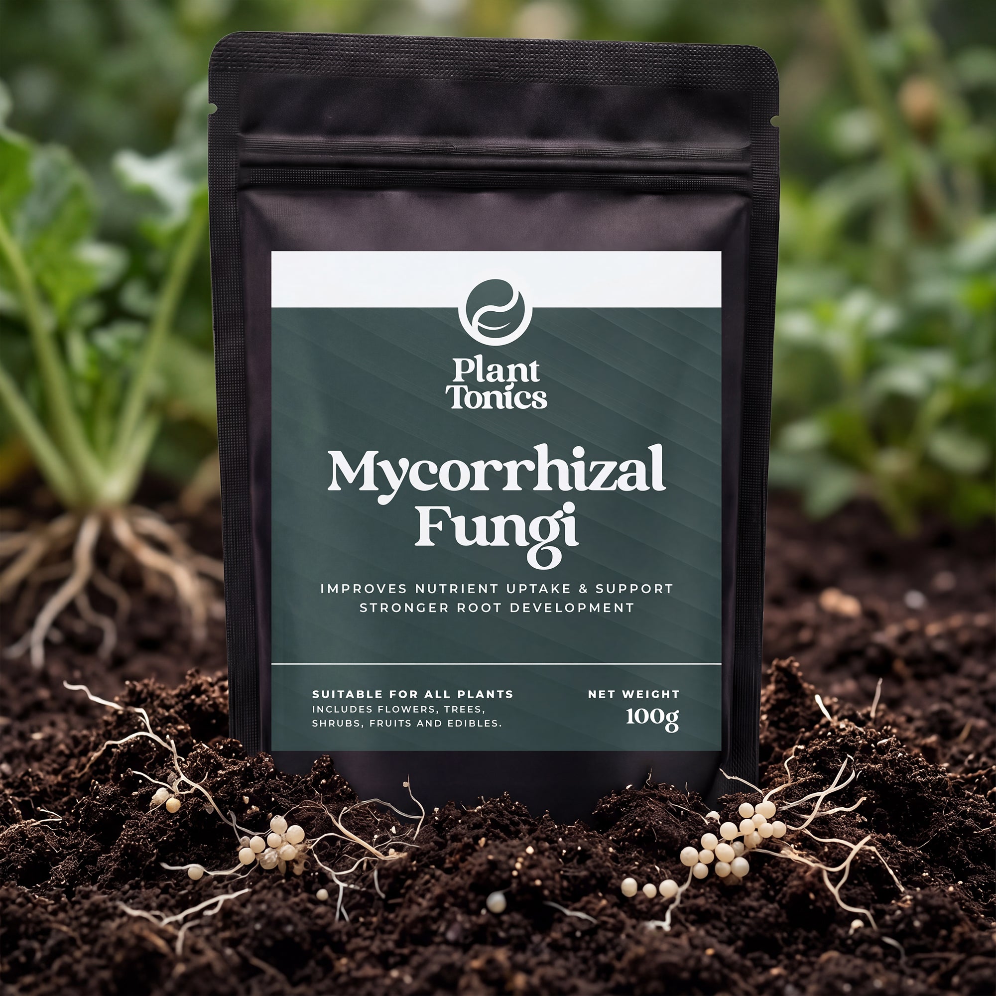 Mycorrhizal Fungi Natural Root Growth