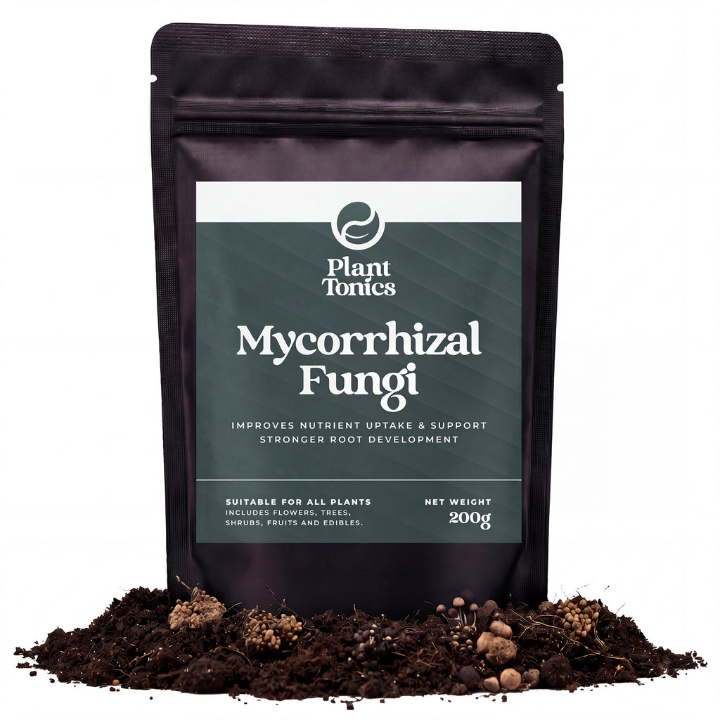 Mycorrhizal Fungi Natural Root Growth