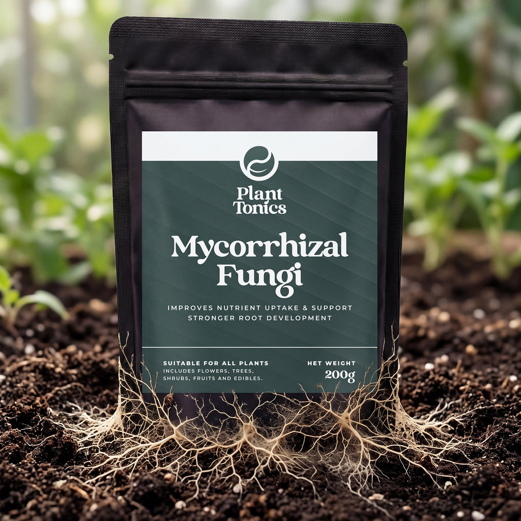 Mycorrhizal Fungi Natural Root Growth