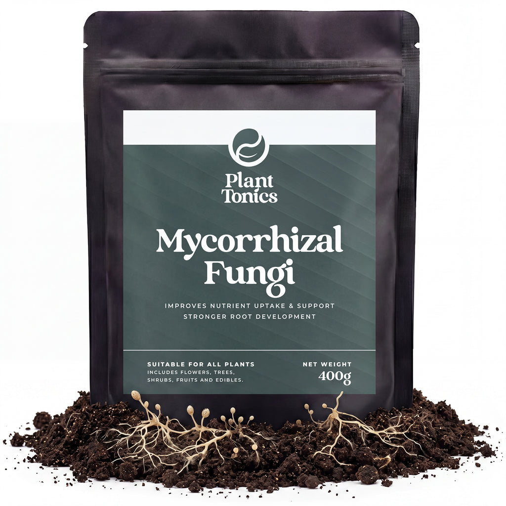 Mycorrhizal Fungi Natural Root Growth