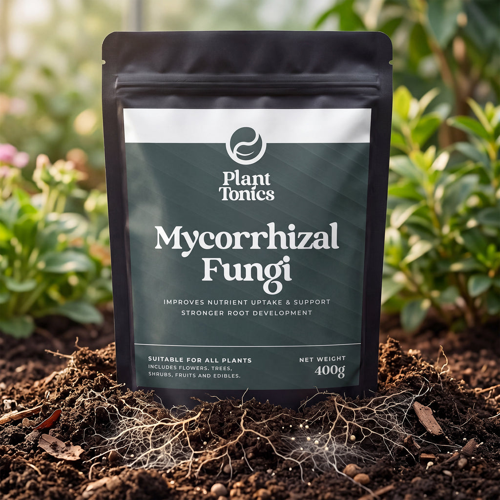 Mycorrhizal Fungi Natural Root Growth