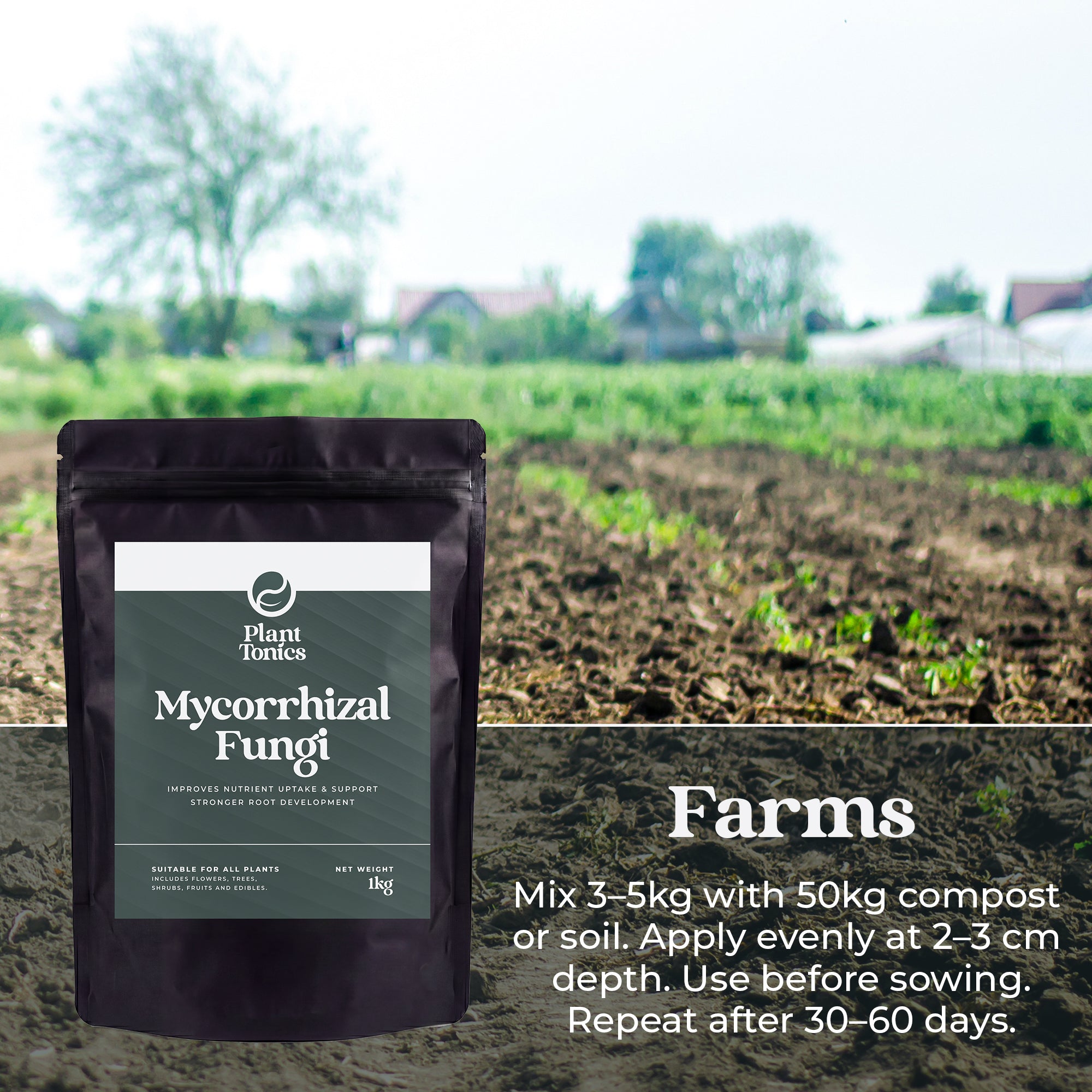 Mycorrhizal Fungi Natural Root Growth