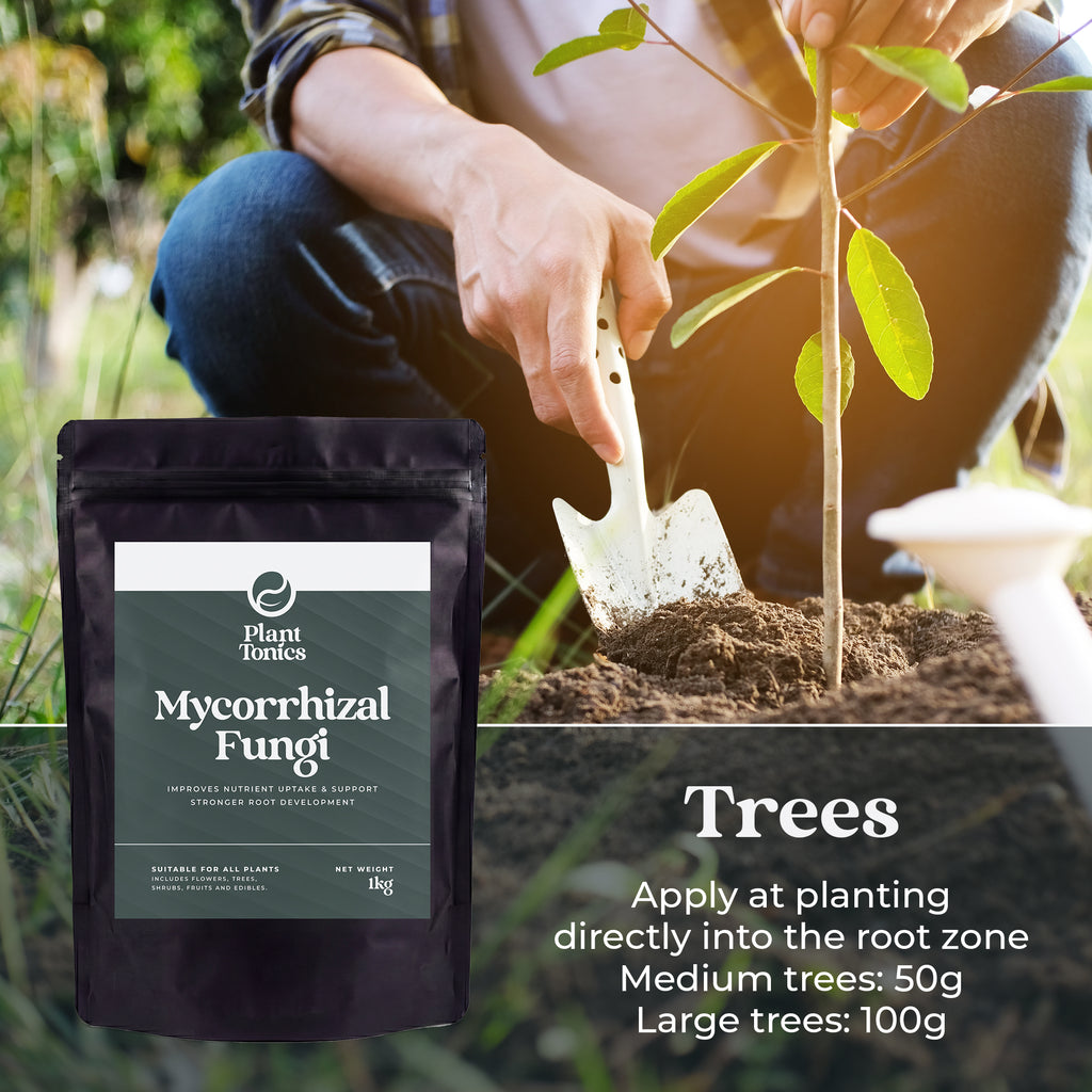Mycorrhizal Fungi Natural Root Growth