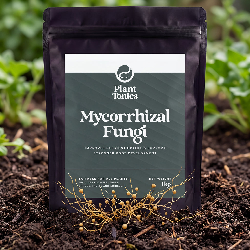 Mycorrhizal Fungi Natural Root Growth