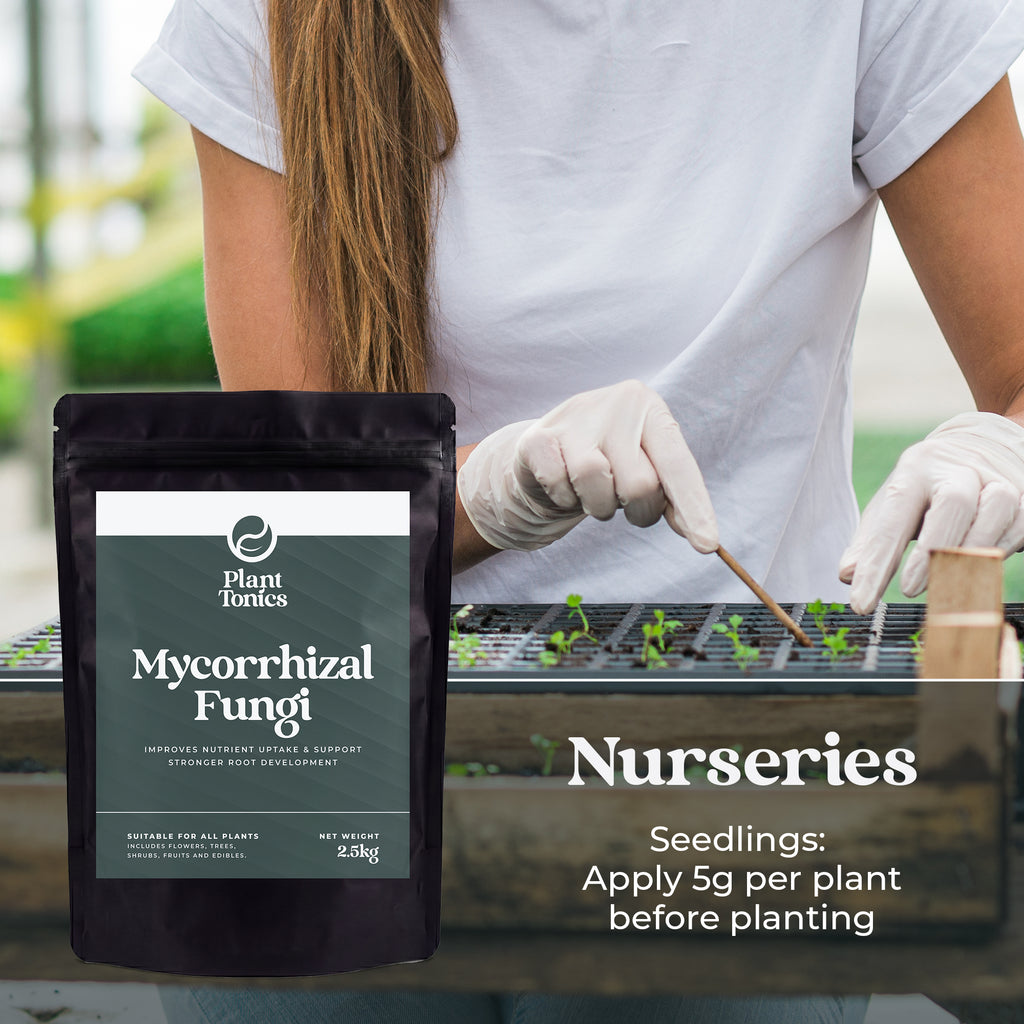 Mycorrhizal Fungi Natural Root Growth