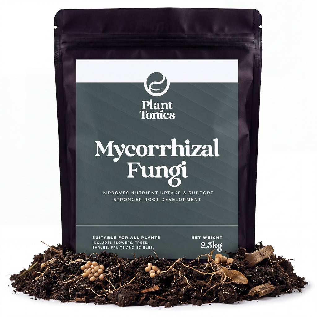 Mycorrhizal Fungi Natural Root Growth