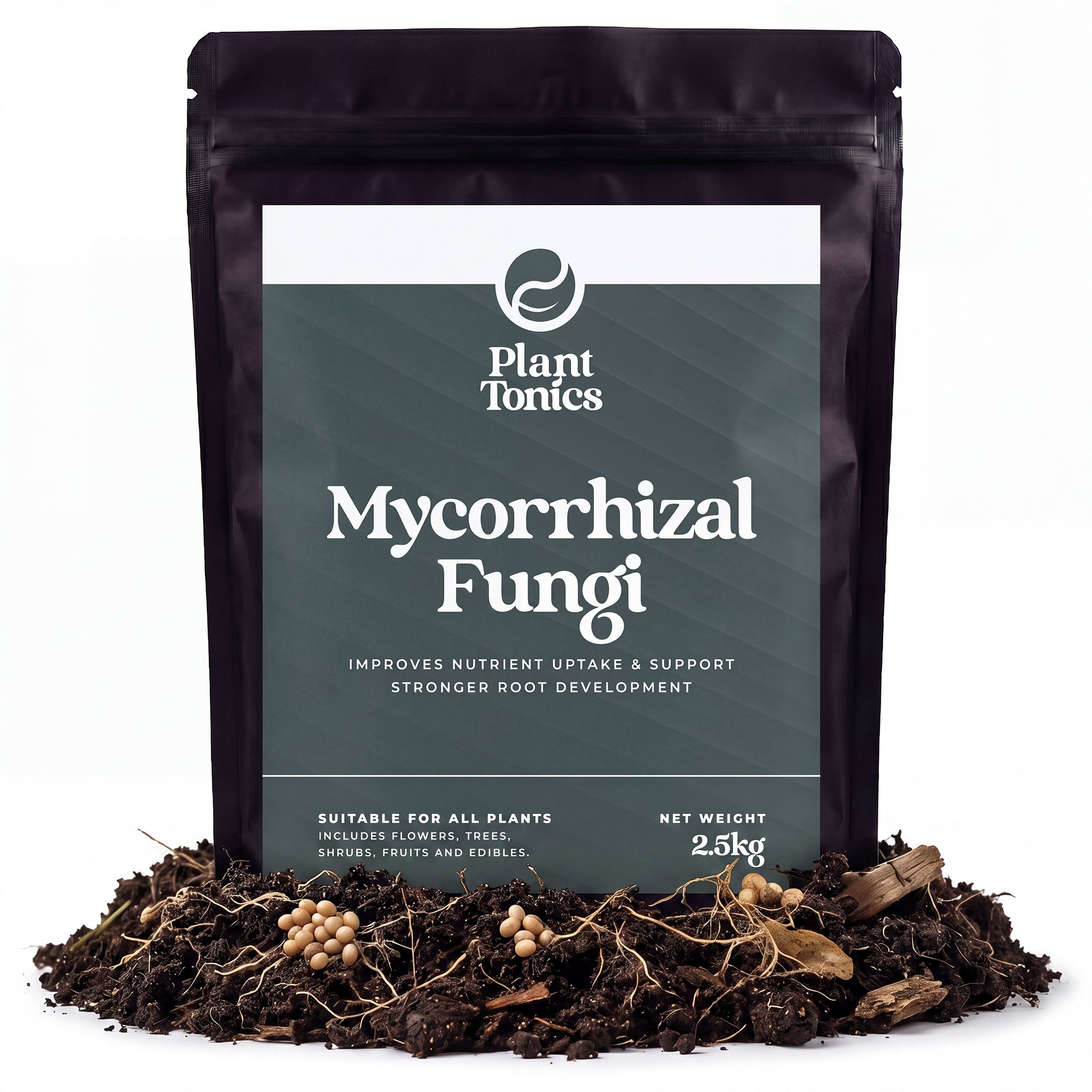 Mycorrhizal Fungi Natural Root Growth