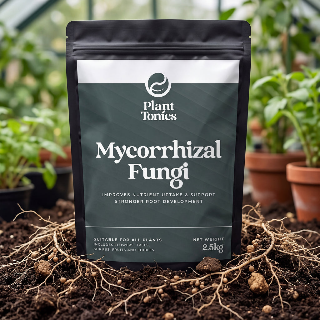 Mycorrhizal Fungi Natural Root Growth