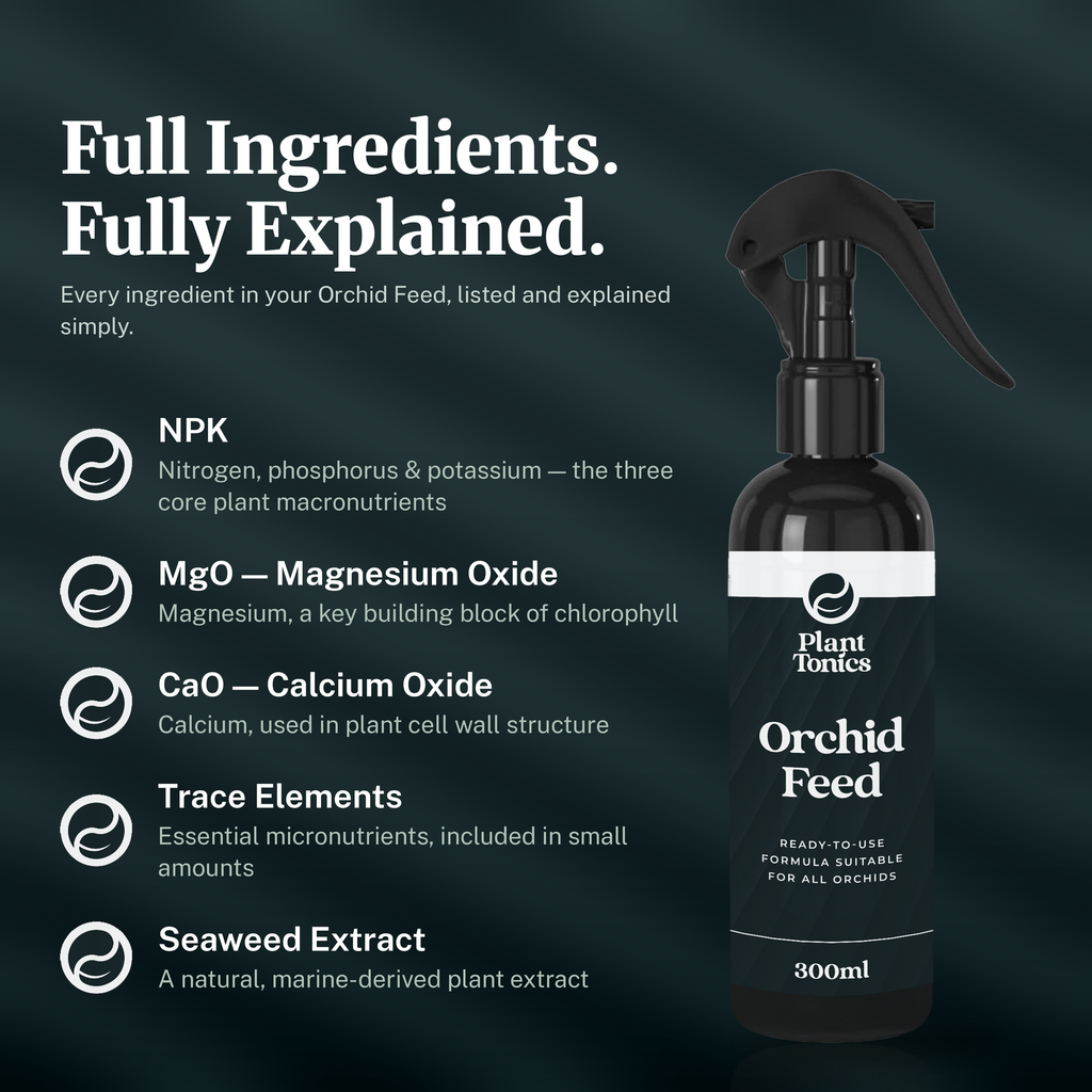 Orchid Feed Spray