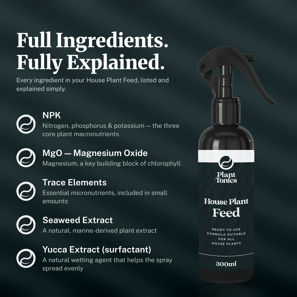 House Plant Feed Spray