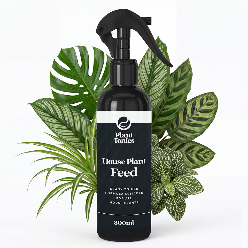 Plant Tonics House Plant Feed ready-to-use 300ml houseplant fertiliser spray