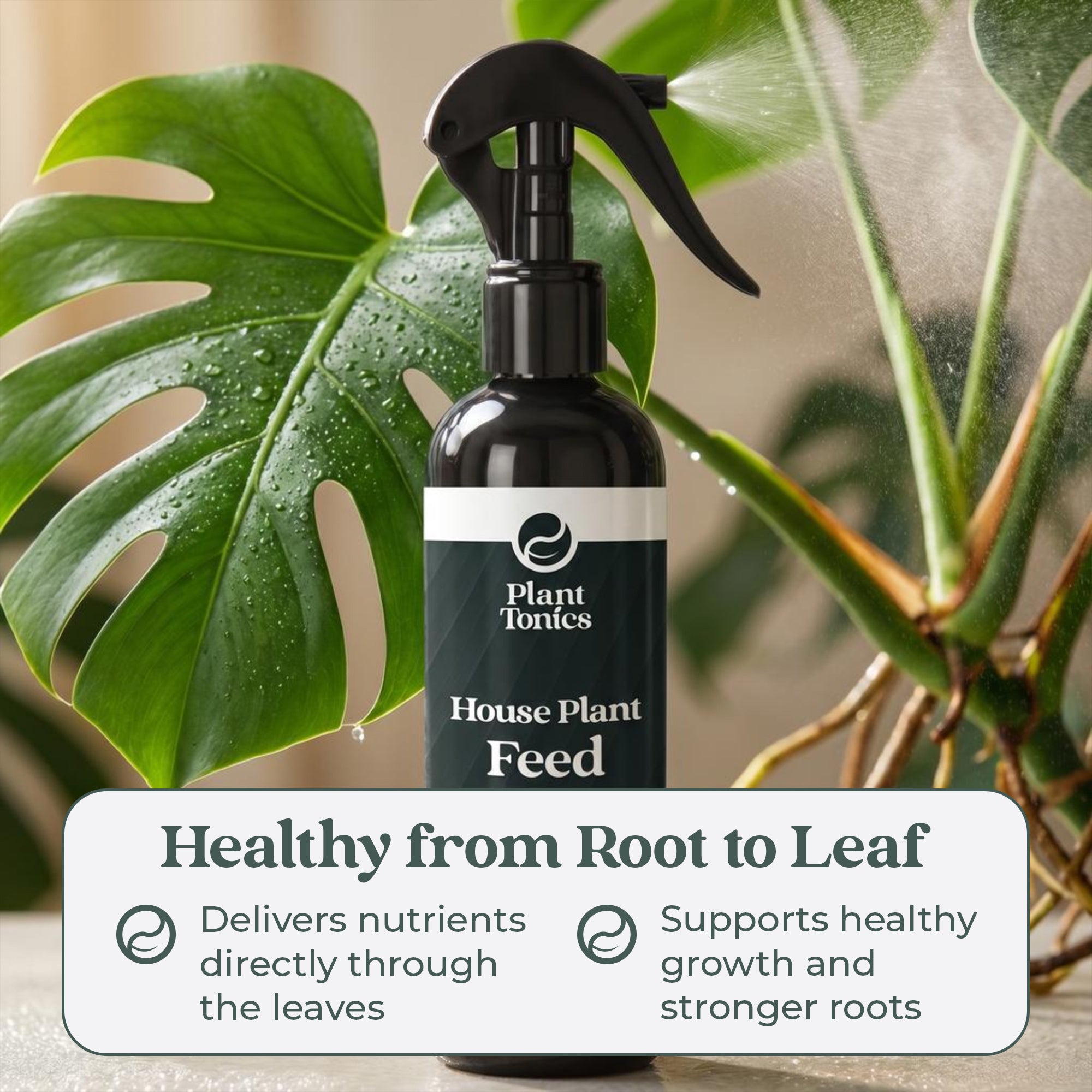 House Plant Feed Spray
