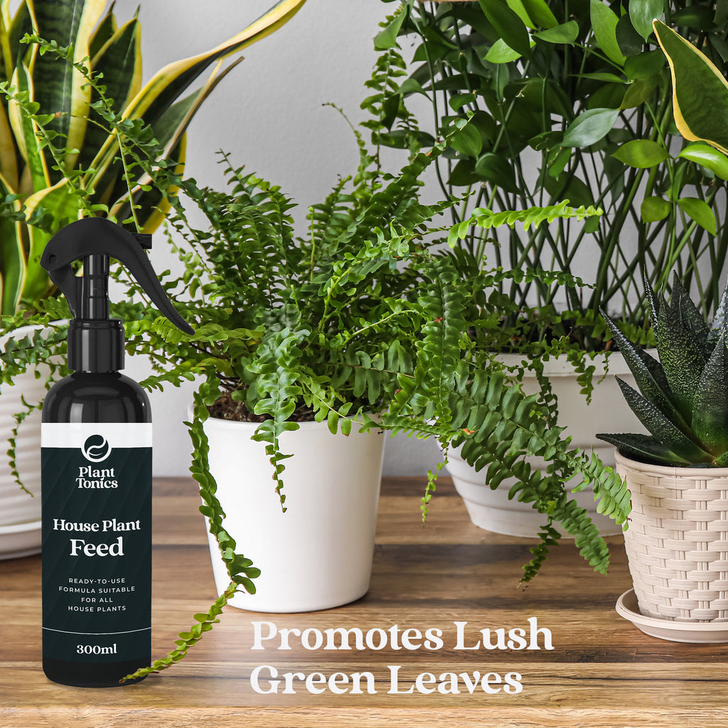 Plant Tonics House Plant Feed ready-to-use 300ml houseplant fertiliser spray