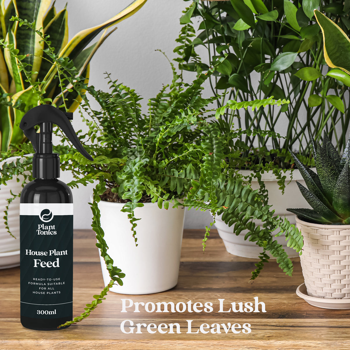 Plant Tonics House Plant Feed ready-to-use 300ml houseplant fertiliser spray