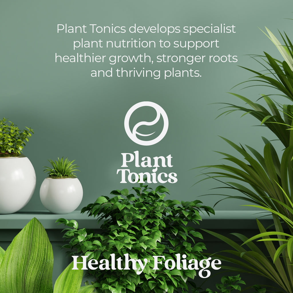 Plant Tonics House Plant Feed ready-to-use 300ml houseplant fertiliser spray