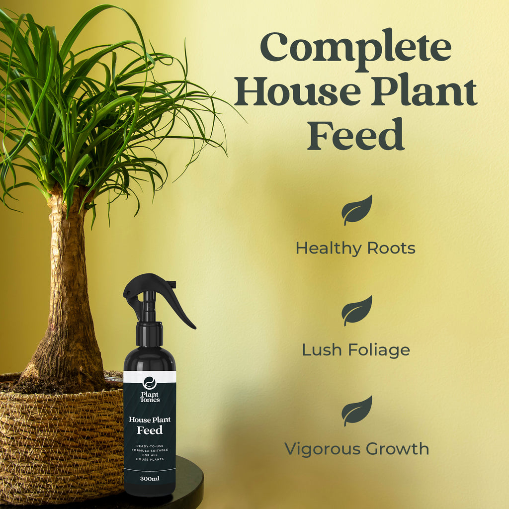 Plant Tonics House Plant Feed ready-to-use 300ml houseplant fertiliser spray