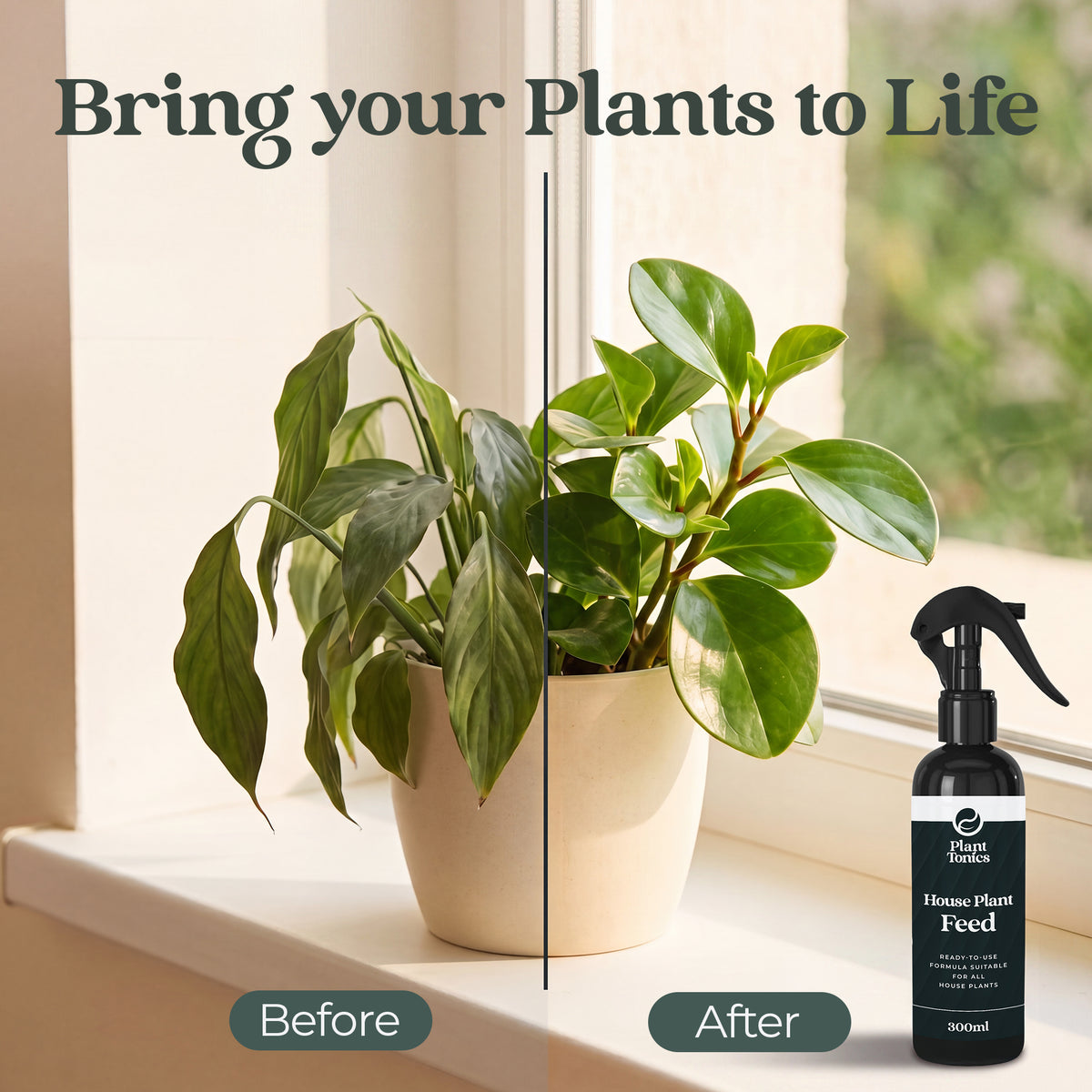 Plant Tonics House Plant Feed ready-to-use 300ml houseplant fertiliser spray