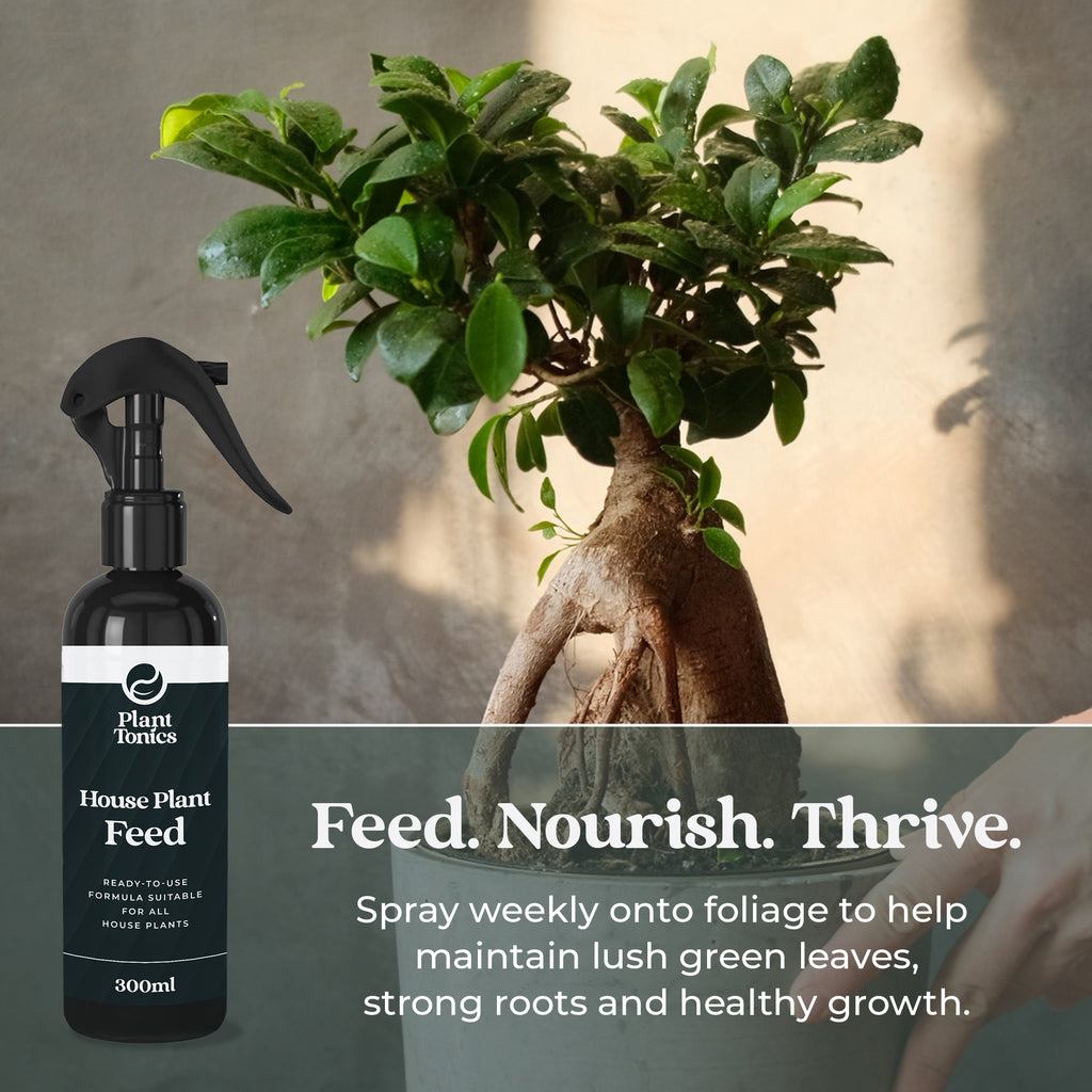 Plant Tonics House Plant Feed ready-to-use 300ml houseplant fertiliser spray