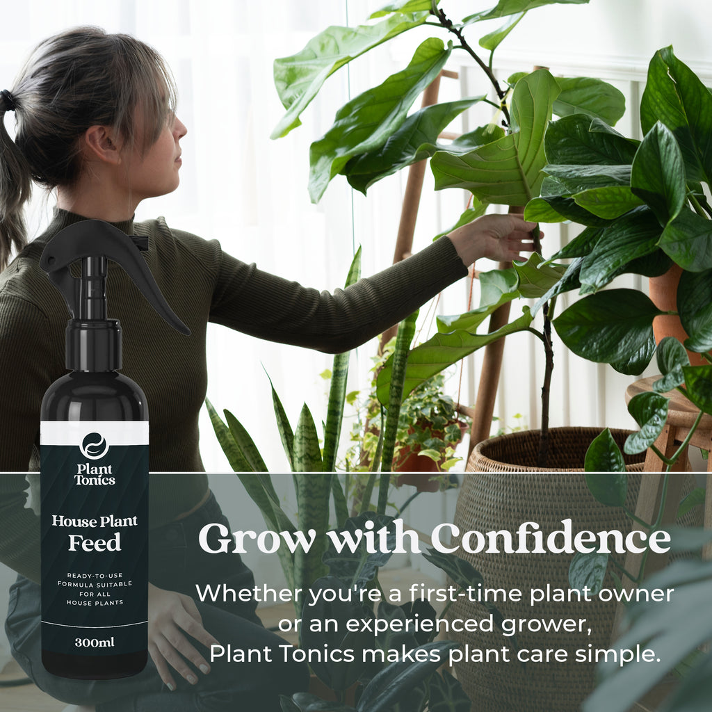 Plant Tonics House Plant Feed ready-to-use 300ml houseplant fertiliser spray