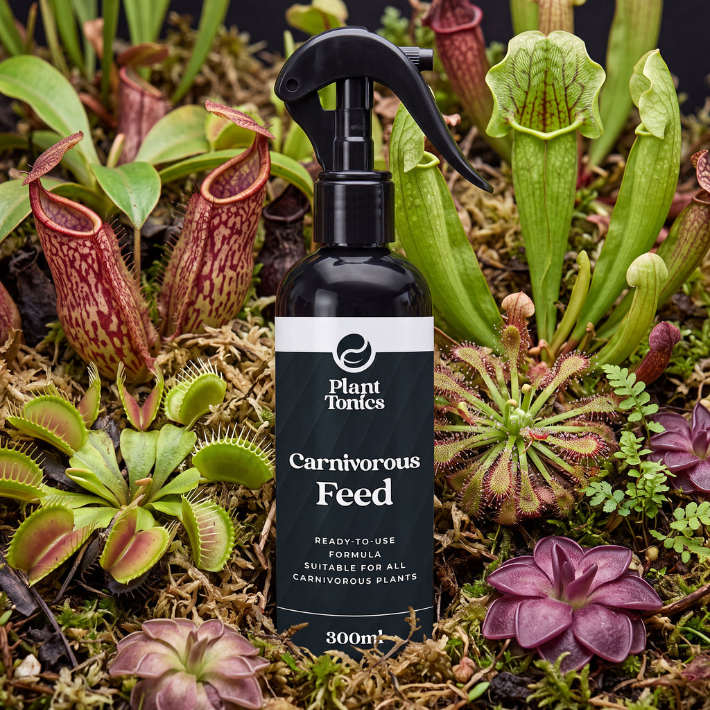 Plant Tonics Carnivorous Plant Feed ready-to-use 300ml spray for Venus Flytraps and Pitcher plants