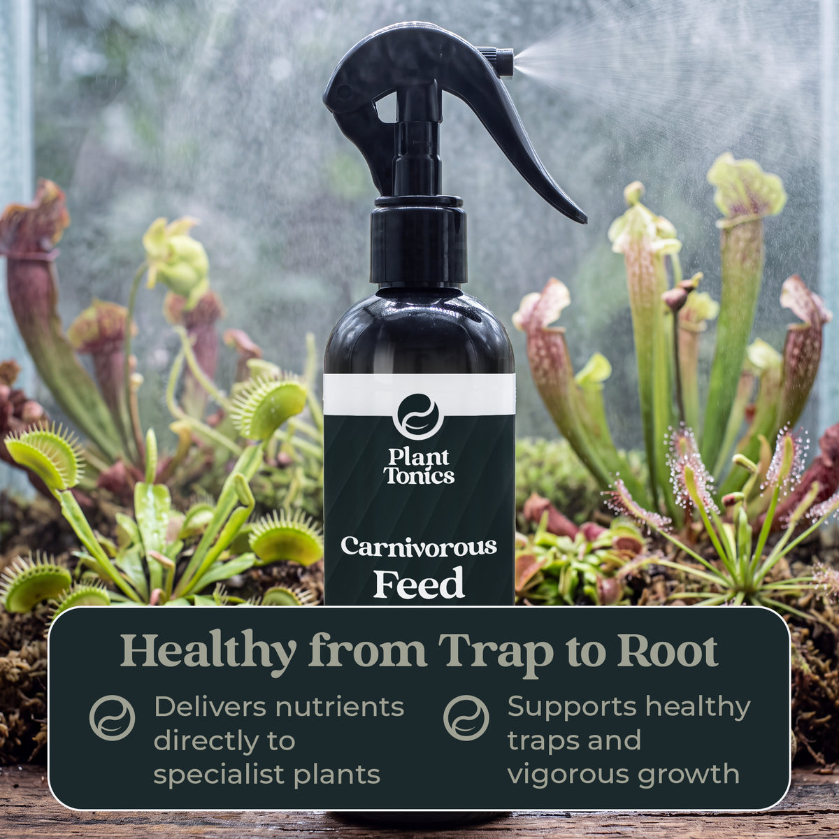 Plant Tonics Carnivorous Plant Feed ready-to-use 300ml spray for Venus Flytraps and Pitcher plants