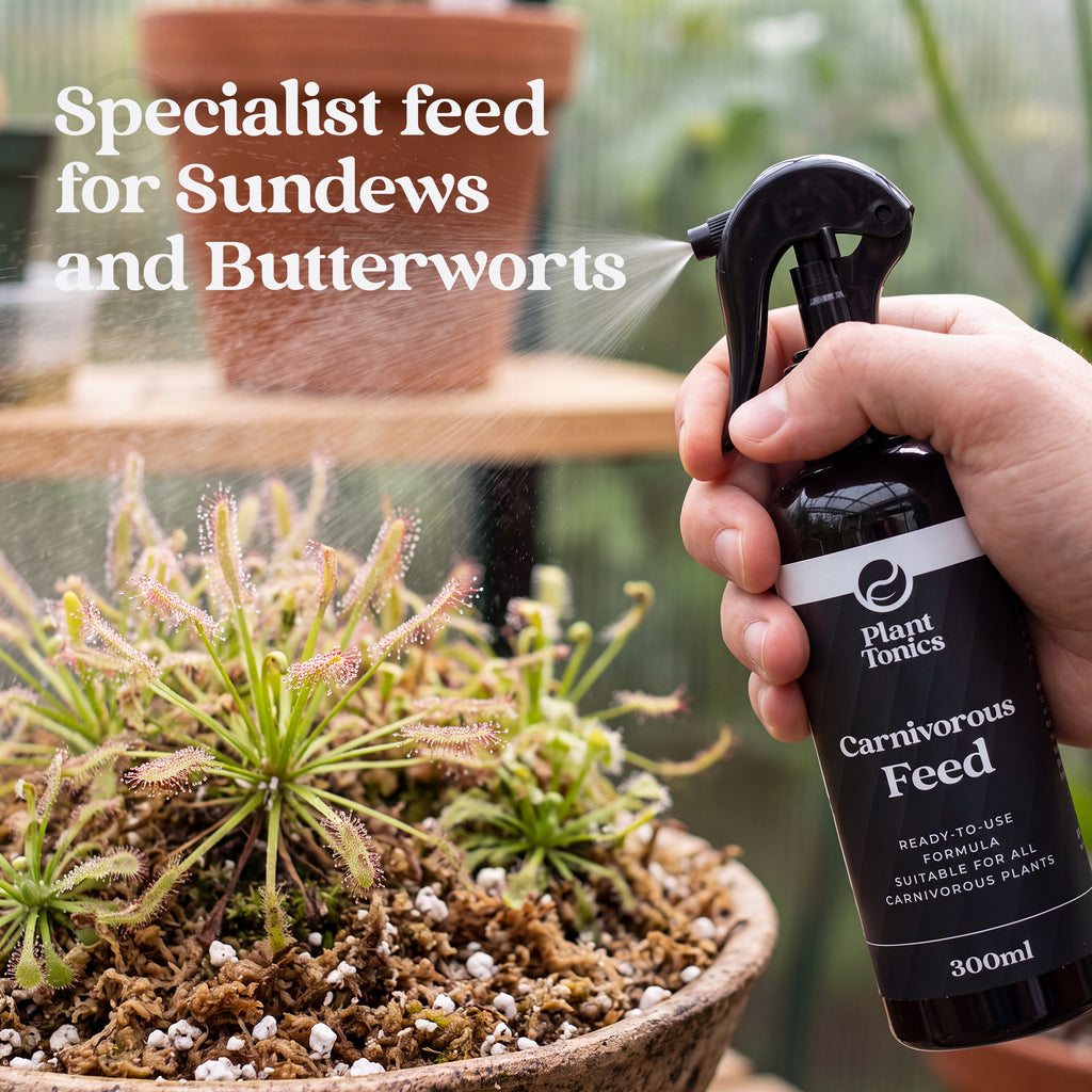 Plant Tonics Carnivorous Plant Feed ready-to-use 300ml spray for Venus Flytraps and Pitcher plants
