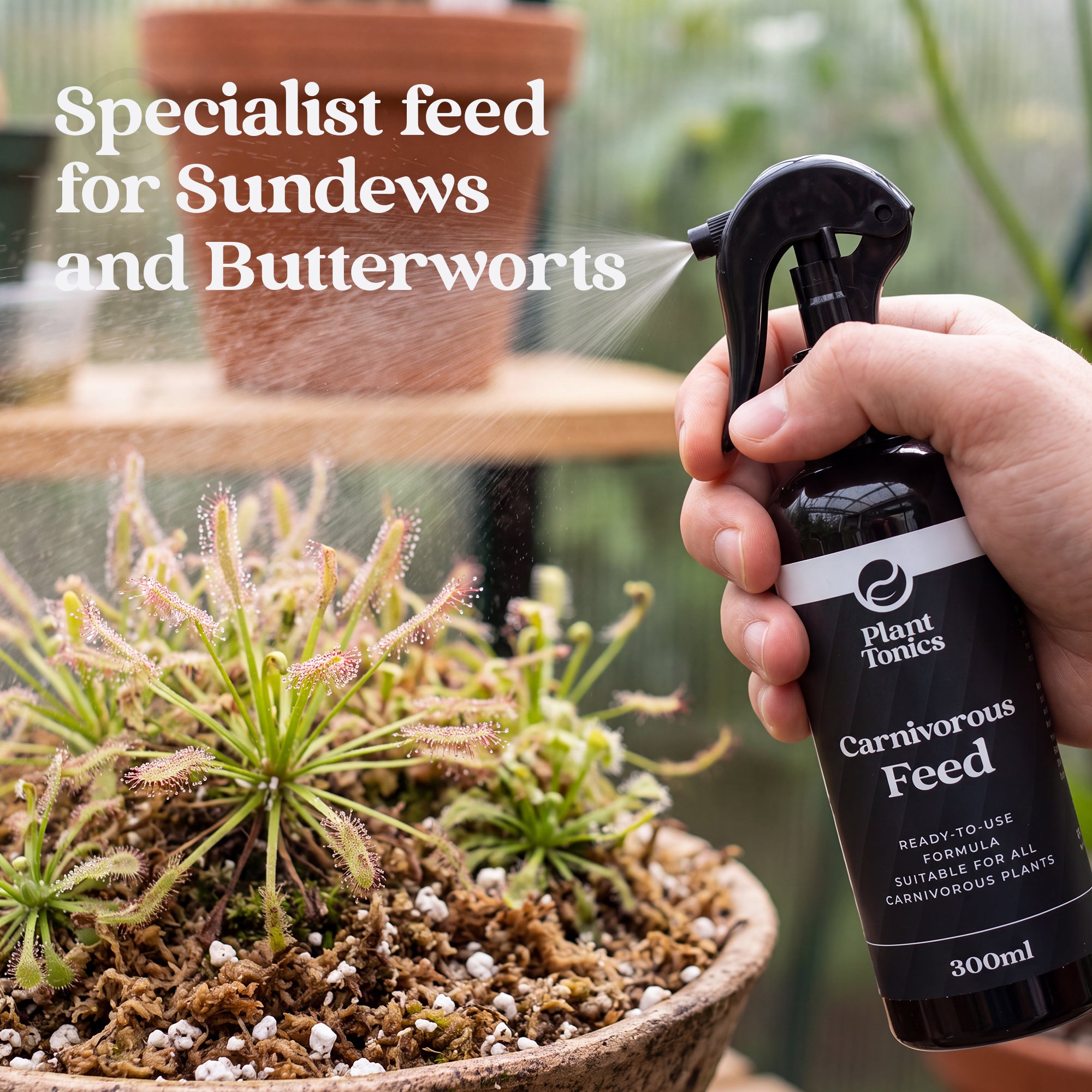 Plant Tonics Carnivorous Plant Feed ready-to-use 300ml spray for Venus Flytraps and Pitcher plants