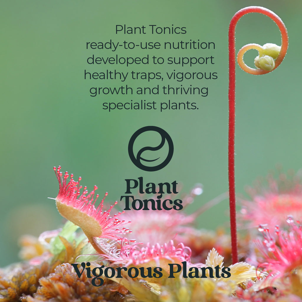 Plant Tonics Carnivorous Plant Feed ready-to-use 300ml spray for Venus Flytraps and Pitcher plants