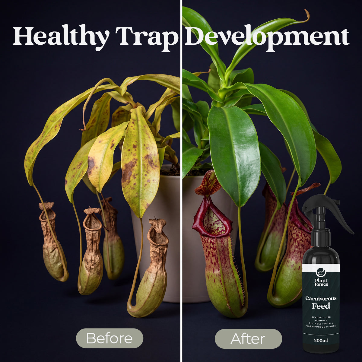 Plant Tonics Carnivorous Plant Feed ready-to-use 300ml spray for Venus Flytraps and Pitcher plants