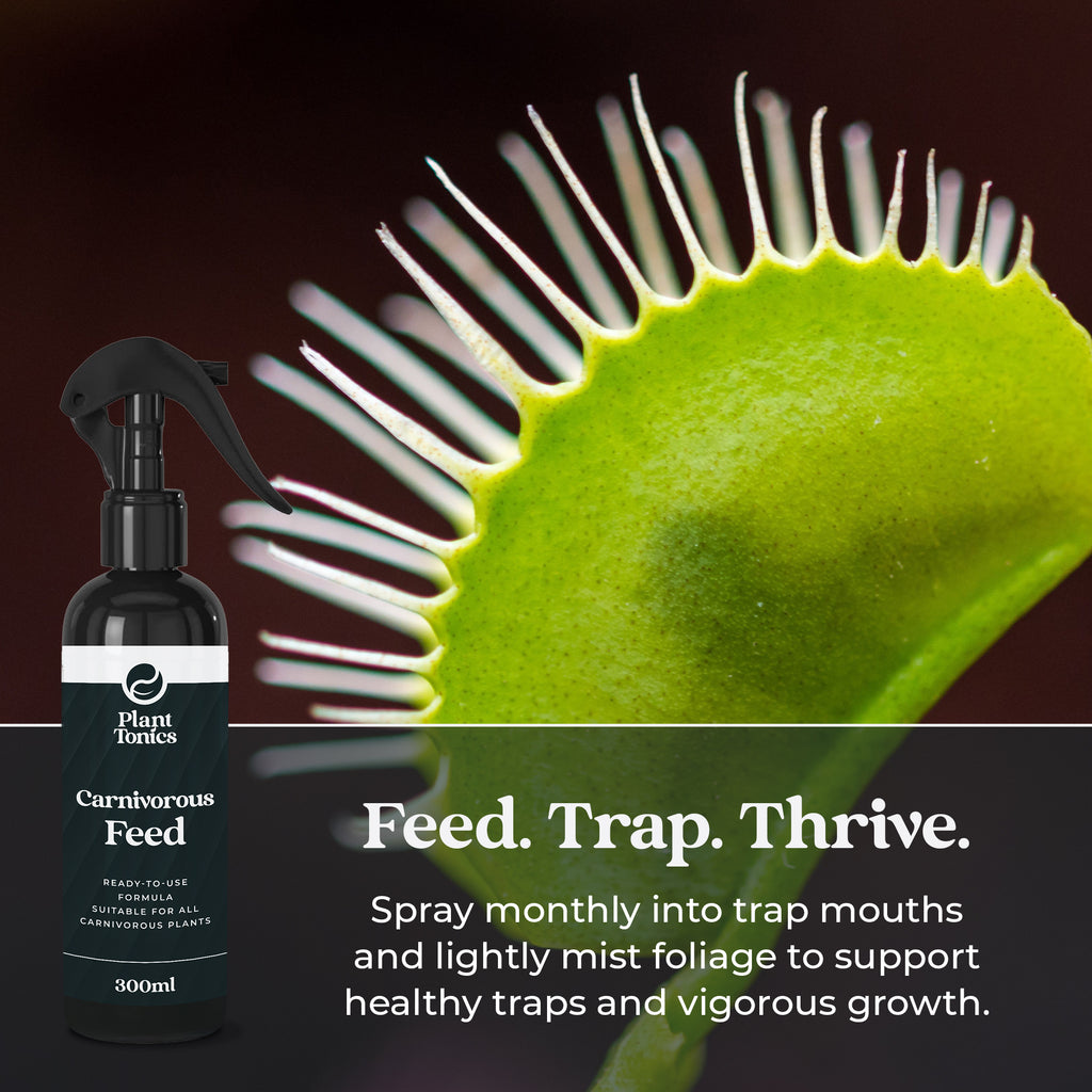 Plant Tonics Carnivorous Plant Feed ready-to-use 300ml spray for Venus Flytraps and Pitcher plants