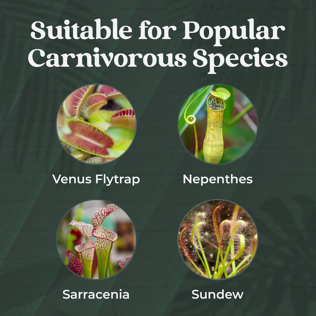 Plant Tonics Carnivorous Plant Feed ready-to-use 300ml spray for Venus Flytraps and Pitcher plants