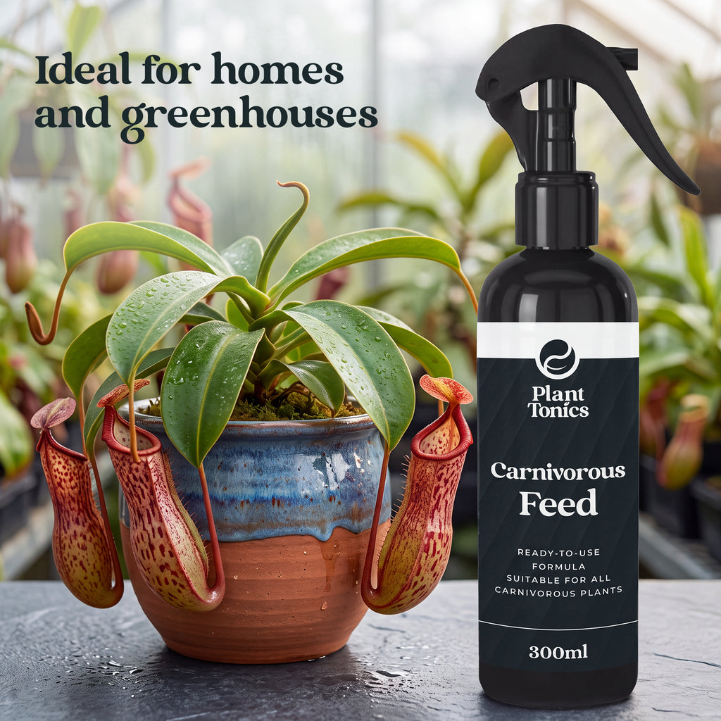 Plant Tonics Carnivorous Plant Feed ready-to-use 300ml spray for Venus Flytraps and Pitcher plants
