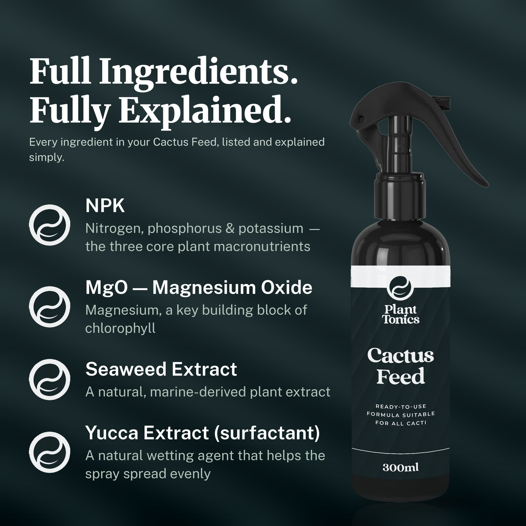 Cactus Feed Spray