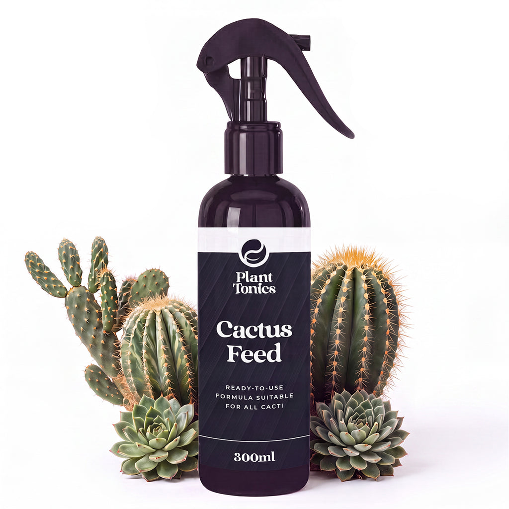 Cactus Feed Spray