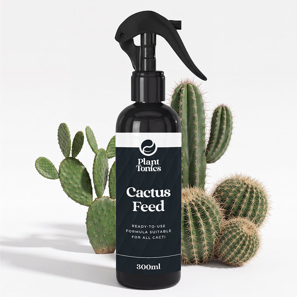 Cactus Feed Spray