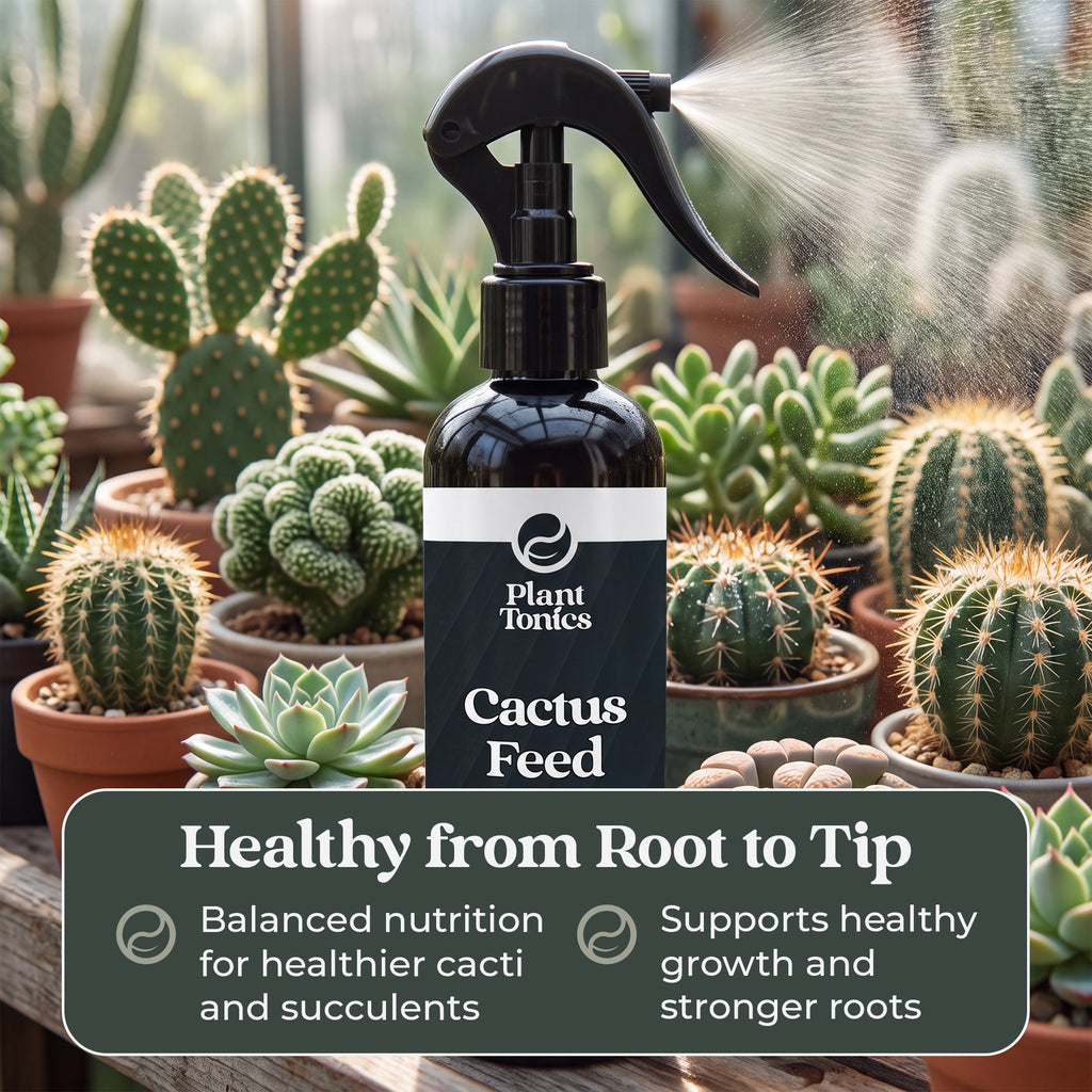 Cactus Feed Spray