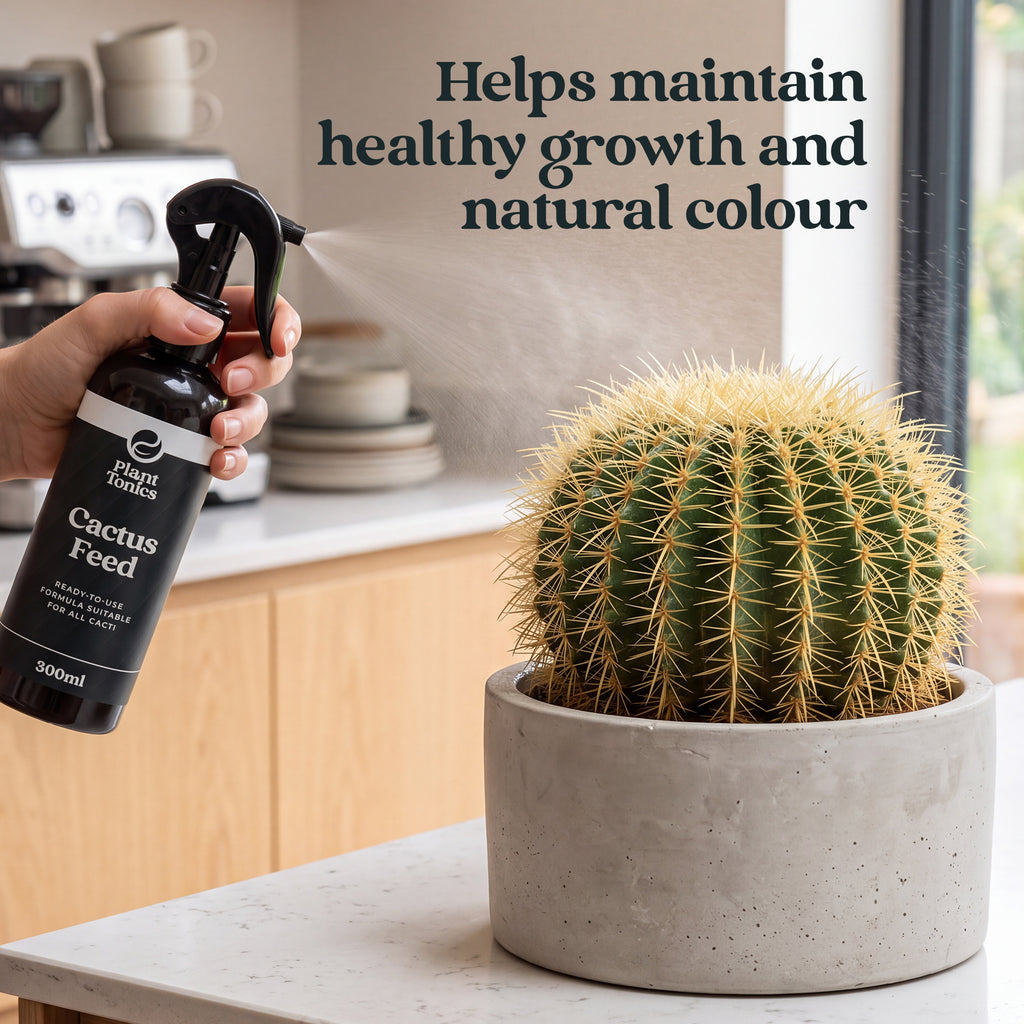 Cactus Feed Spray
