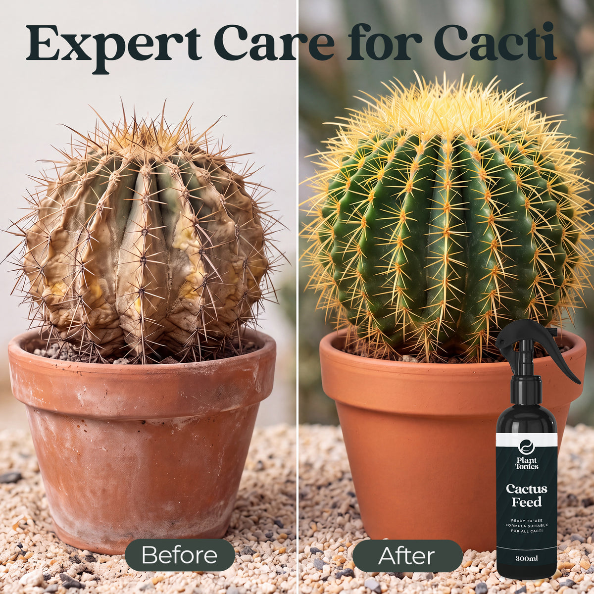 Cactus Feed Spray
