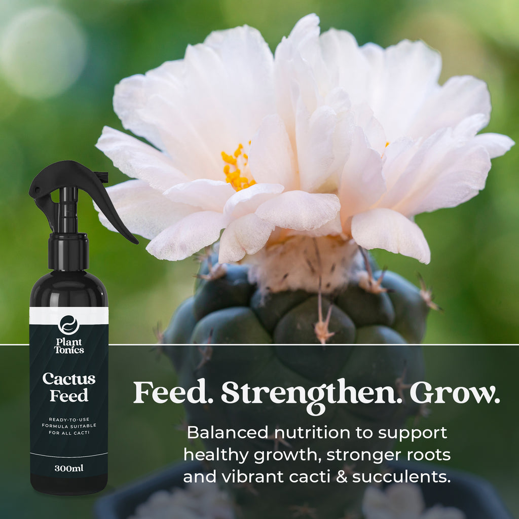 Cactus Feed Spray