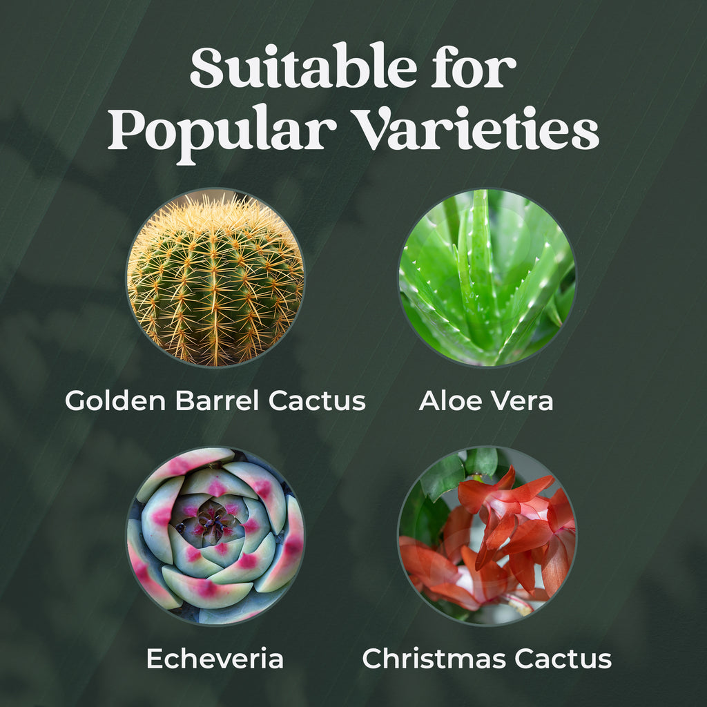 Cactus Feed Spray